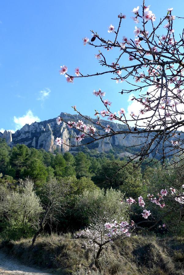 Отель Podiumberg Quatretondeta Экстерьер фото
